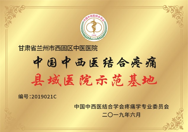 中国中西医结合疼痛 县域医院示范基地