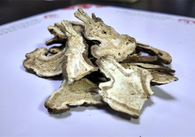白术